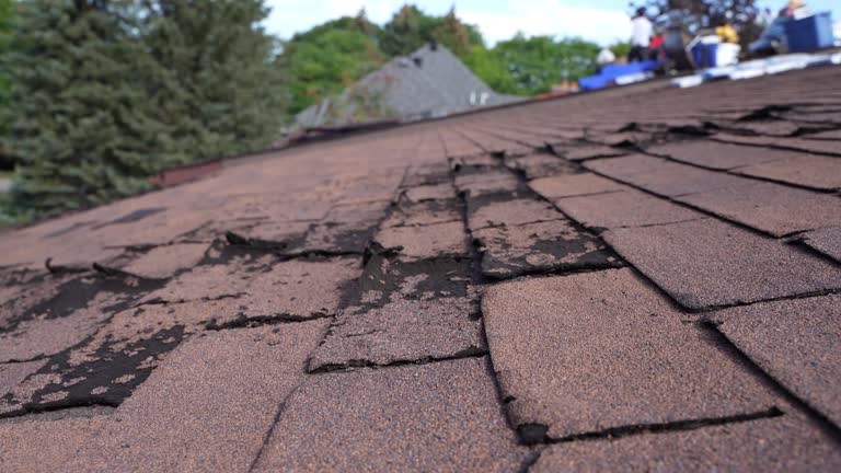 Best Tile Roofing Installation  in Colma, CA
