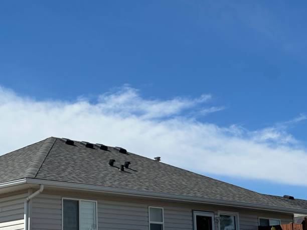 Best Roof Inspection  in Colma, CA